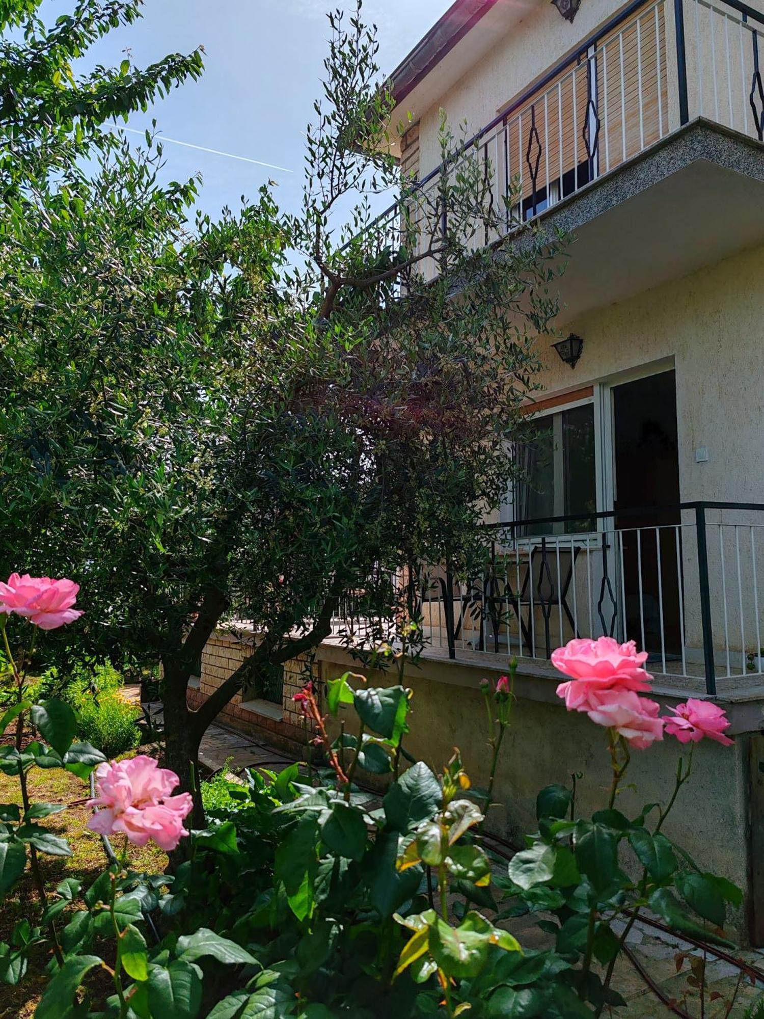 Apartment Nina Rovinj Exterior foto